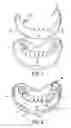 Fig. 02 - Cosmetic Prosthesis and Methods for Making the Same