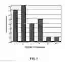 Fig. 06 - System and method for automatic driver evaluation