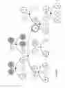 Fig. 08 - GRAPHICAL RADIALLY-EXTENDING FAMILY HEDGE