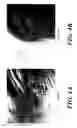 Fig. 05 - Use of a human amniotic membrane composition for prophylaxis and treatment of diseases and conditions of the eye and skin