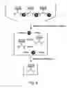 Fig. 07 - Compositions and methods for purifying and crystallizing molecules of interest