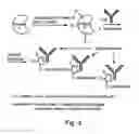 Fig. 11 - Compositions and methods for purifying and crystallizing molecules of interest