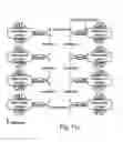 Fig. 14 - Compositions and methods for purifying and crystallizing molecules of interest