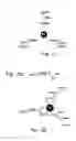 Fig. 15 - Compositions and methods for purifying and crystallizing molecules of interest
