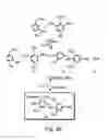 Fig. 20 - Compositions and methods for purifying and crystallizing molecules of interest
