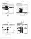 Fig. 27 - Compositions and methods for purifying and crystallizing molecules of interest