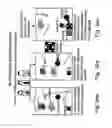 Fig. 31 - Compositions and methods for purifying and crystallizing molecules of interest