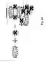 Fig. 43 - Compositions and methods for purifying and crystallizing molecules of interest