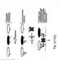Fig. 48 - Compositions and methods for purifying and crystallizing molecules of interest