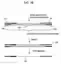 Fig. 03 - Methods of Analysis of Methylation