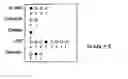 Fig. 01 - KITS AND METHODS FOR ASSESSING OXIDATIVE STRESS