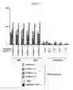 Fig. 02 - Cancer Detection Methods and Reagents