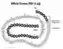 Fig. 01 - Parathyroid hormone antagonists and uses thereof