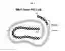 Fig. 02 - Parathyroid hormone antagonists and uses thereof