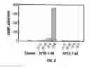 Fig. 04 - Parathyroid hormone antagonists and uses thereof