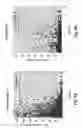 Fig. 06 - Method of determining lymph node metastasis