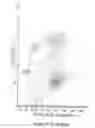 Fig. 293 - Novel Classification Method of Blood Cells and Tailor-Made Therapy and Prevention Based Thereupon