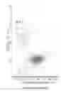 Fig. 321 - Novel Classification Method of Blood Cells and Tailor-Made Therapy and Prevention Based Thereupon