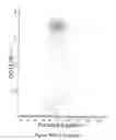 Fig. 482 - Novel Classification Method of Blood Cells and Tailor-Made Therapy and Prevention Based Thereupon