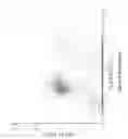 Fig. 613 - Novel Classification Method of Blood Cells and Tailor-Made Therapy and Prevention Based Thereupon