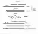 Fig. 02 - Pullulanase variants with increased productivity