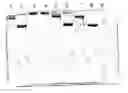 Fig. 01 - Method for Obtaining Modified Proteins and Viruses with Intact Native Binding Site