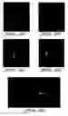 Fig. 23 - Bioactive compositions and their use in cell patterning