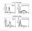 Fig. 01 - CEACAM1 mediated protective immunity