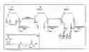 Fig. 01 - Methods for characterizing glycoproteins and generating antibodies for same
