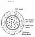Fig. 02 - Silicon semiconductor substrate and production method thereof