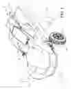 Fig. 02 - Amphibian