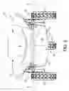 Fig. 04 - Amphibian