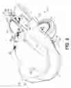 Fig. 09 - Amphibian