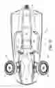 Fig. 28 - Amphibian