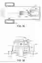Fig. 35 - Amphibian