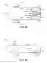 Fig. 40 - Amphibian