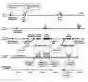Fig. 01 - Apparatus and method for supporting mobility of wireless terminal in wireless communication network