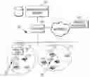 Fig. 01 - Reduction of power consumption in wireless communication terminals