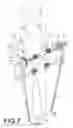 Fig. 08 - Multi-functionsl massage body-building device