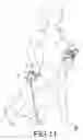 Fig. 12 - Multi-functionsl massage body-building device