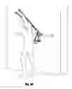 Fig. 17 - Exercise apparatus and method of using same