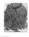 Fig. 01 - Method of plugging fractured formation