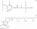 Fig. 02 - Antioxidants for the stabilization of surfactant formulations