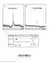 Fig. 05 - Peptide Nucleic Acid Conjugates and Uses Thereof