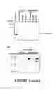 Fig. 07 - Peptide Nucleic Acid Conjugates and Uses Thereof