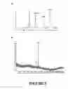 Fig. 10 - Peptide Nucleic Acid Conjugates and Uses Thereof