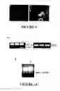 Fig. 11 - Peptide Nucleic Acid Conjugates and Uses Thereof