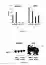Fig. 02 - Anti-angiogenic methods and compositions