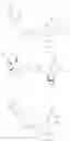 Fig. 166 - Modified Proteins