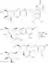 Fig. 85 - Modified Proteins